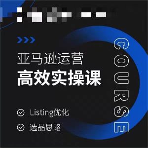 亚马逊运营高效实操课,Listing优化,选品思路-赚金金-技能学习分享