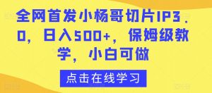 全网首发小杨哥切片IP3.0,日入500+,保姆级教学,小白可做【揭秘】-赚金金-技能学习分享
