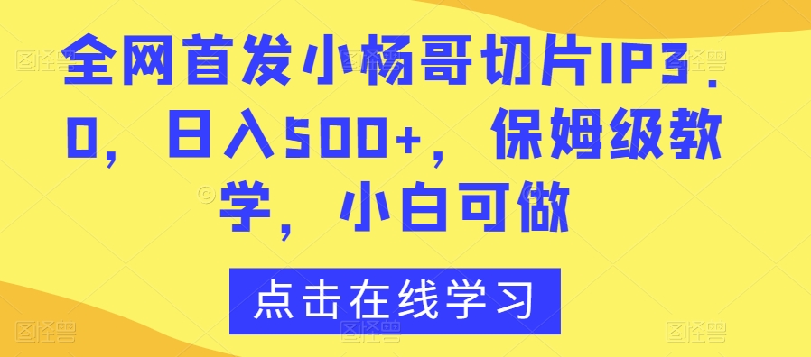 全网首发小杨哥切片IP3.0，日入500+，保姆级教学，小白可做【揭秘】-赚金金-技能学习分享