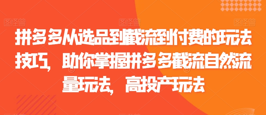 拼多多从选品到截流到付费的玩法技巧，助你掌握拼多多截流自然流量玩法，高投产玩法-赚金金-技能学习分享