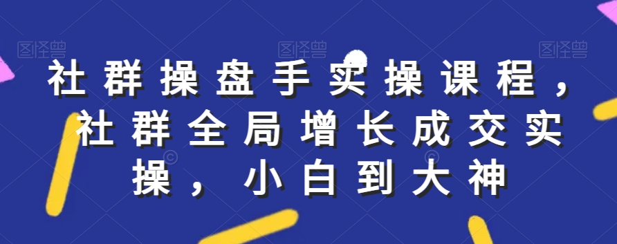 社群实操课程，社群全局增长成交实操，小白到大神-赚金金-技能学习分享