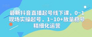 最新抖音直播起号线下课,0~1现场实操起号,1~10+放量稳号精细化运营-赚金金-技能学习分享