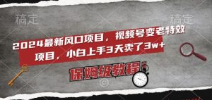2024最新风口项目,视频号变老特效项目,电脑小白上手3天卖了3w+,保姆级教程【揭秘】-赚金金-技能学习分享