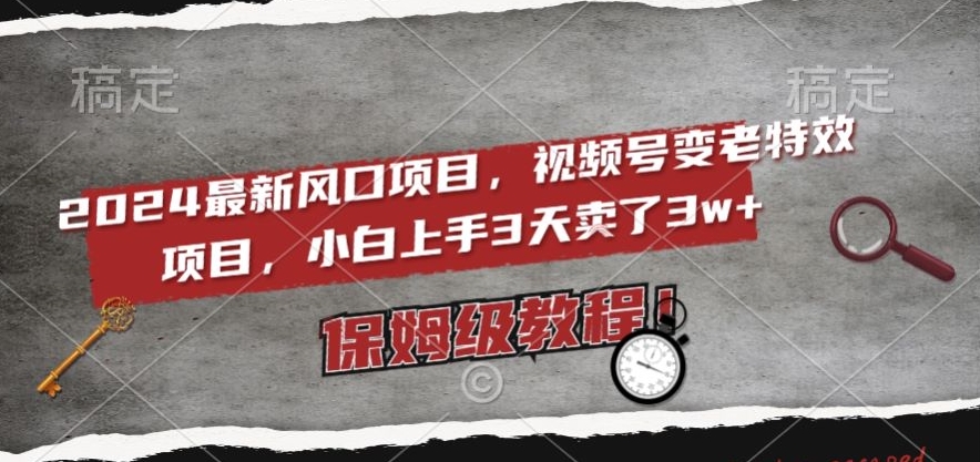 2024最新风口项目，视频号变老特效项目，电脑小白上手3天卖了3w+，保姆级教程【揭秘】-赚金金-技能学习分享