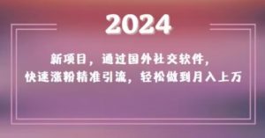 2024新项目,通过国外社交软件,快速涨粉精准引流,轻松做到月入上万【揭秘】-赚金金-技能学习分享