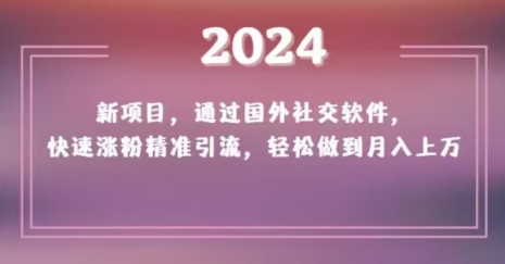 2024新项目，通过国外社交软件，快速涨粉精准引流，轻松做到月入上万【揭秘】-赚金金-技能学习分享
