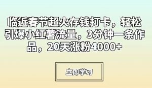 临近春节超火存钱打卡,轻松引爆小红薯流量,3分钟一条作品,20天涨粉4000+【揭秘】-赚金金-技能学习分享