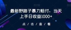 最新野路子暴力赔付,当天上手日收益1000+【仅揭秘】-赚金金-技能学习分享