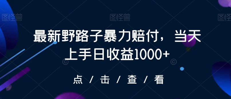 最新野路子暴力赔付，当天上手日收益1000+【仅揭秘】-赚金金-技能学习分享