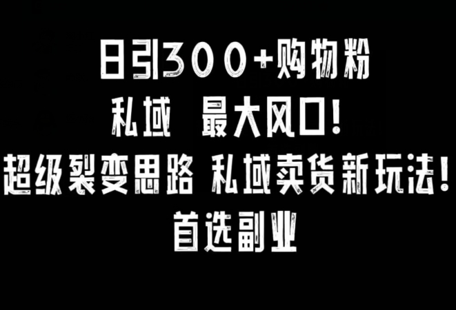 日引300+购物粉，超级裂变思路，私域卖货新玩法，小红书首选副业【揭秘】-赚金金-技能学习分享