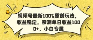 视频号最新100%原创玩法,收益稳定,亲测单日收益1000+,小白专属【揭秘】-赚金金-技能学习分享