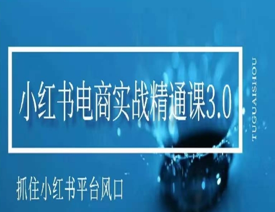 小红书电商实战精通课3.0，抓住小红书平台的风口，不错过有一个赚钱的机会-赚金金-技能学习分享