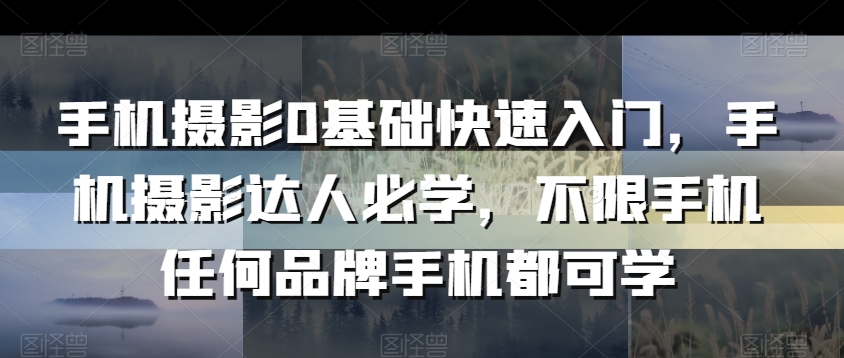 手机摄影0基础快速入门，手机摄影达人必学，不限手机任何品牌手机都可学-赚金金-技能学习分享