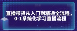 直播带货从入门到精通全流程,0-1系统化学习直播流程-赚金金-技能学习分享