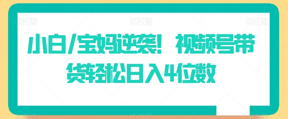 小白/宝妈逆袭！视频号带货轻松日入4位数【揭秘】-赚金金-技能学习分享