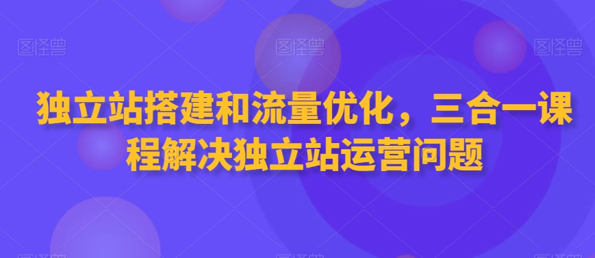 独立站搭建和流量优化，三合一课程解决独立站运营问题-赚金金-技能学习分享