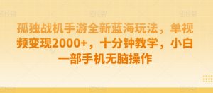 孤独战机手游全新蓝海玩法,单视频变现2000+,十分钟教学,小白一部手机无脑操作【揭秘】-赚金金-技能学习分享