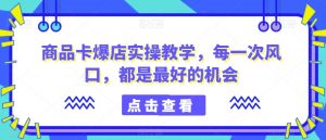 商品卡爆店实操教学,每一次风口,都是最好的机会-赚金金-技能学习分享