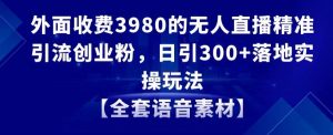 外面收费3980的无人直播精准引流创业粉,日引300+落地实操玩法【全套语音素材】【揭秘】-赚金金-技能学习分享