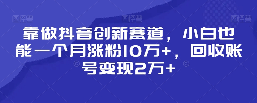 靠做抖音创新赛道，小白也能一个月涨粉10万+，回收账号变现2万+【揭秘】-赚金金-技能学习分享
