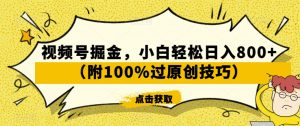 视频号掘金,小白轻松日入800+(附100%过原创技巧)【揭秘】-赚金金-技能学习分享
