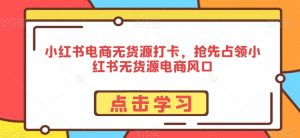 小红书电商无货源打卡,抢先占领小红书无货源电商风口-赚金金-技能学习分享