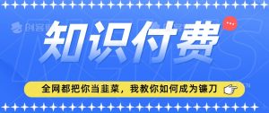 2024最新知识付费项目,小白也能轻松入局,全网都在教你做项目,我教你做镰刀【揭秘】-赚金金-技能学习分享