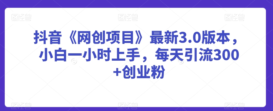 抖音《网创项目》最新3.0版本，小白一小时上手，每天引流300+创业粉【揭秘】-赚金金-技能学习分享