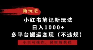 小红书笔记新玩法,日入1000+,多平台搬运变现(不违规),小白可操作,保姆级教程【揭秘】-赚金金-技能学习分享