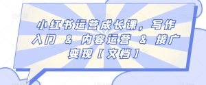 小红书运营成长课,写作入门&内容运营&接广变现【文档】-赚金金-技能学习分享