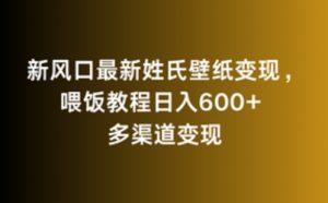 新风口最新姓氏壁纸变现,喂饭教程日入600+【揭秘】-赚金金-技能学习分享