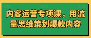 内容运营专项课，用流量思维策划爆款内容-赚金金-技能学习分享