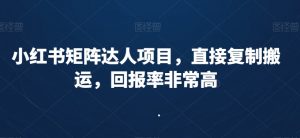 小红书矩阵达人项目,直接复制搬运,回报率非常高-赚金金-技能学习分享
