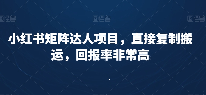 小红书矩阵达人项目，直接复制搬运，回报率非常高-赚金金-技能学习分享
