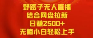 野路子无人直播结合网盘拉新,日赚2500+,小白无脑轻松上手【揭秘】-赚金金-技能学习分享