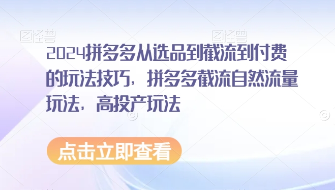 2024拼多多从选品到截流到付费的玩法技巧，拼多多截流自然流量玩法，高投产玩法-赚金金-技能学习分享