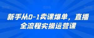 新手从0-1卖课爆单,直播全流程实操运营课-赚金金-技能学习分享