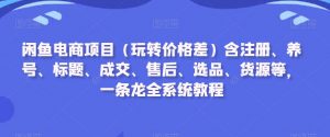 闲鱼电商项目(玩转价格差)含注册、养号、标题、成交、售后、选品、货源等,一条龙全系统教程-赚金金-技能学习分享