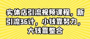 实体店引流视频课程,新引流36计,小钱靠努力,大钱靠整合-赚金金-技能学习分享