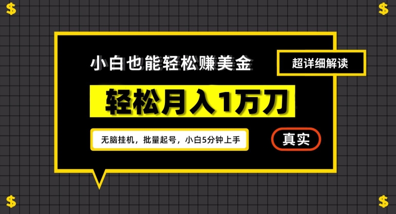 谷歌看广告撸美金2.0，无脑挂机，多号操作，月入1万刀【揭秘】-赚金金-技能学习分享