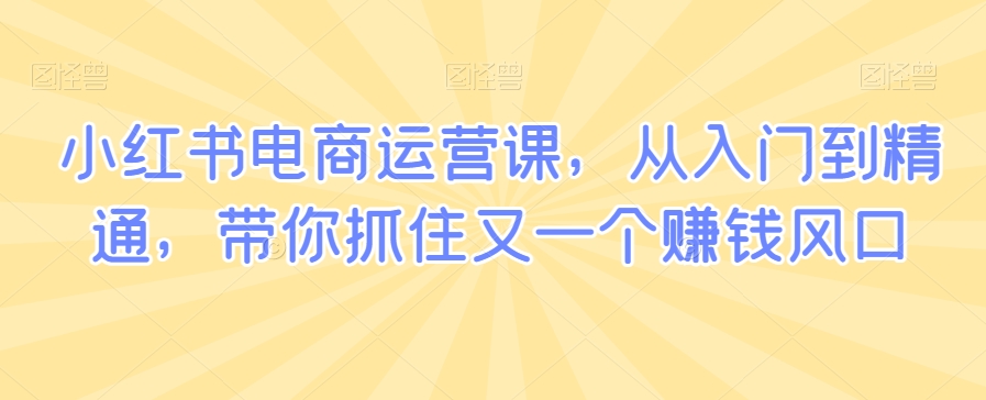 小红书电商运营课，从入门到精通，带你抓住又一个赚钱风口-赚金金-技能学习分享