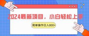2024最新项目，红娘项目，简单操作轻松日入800+【揭秘】-赚金金-技能学习分享