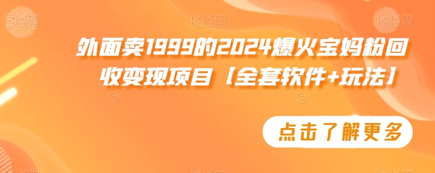 外面卖1999的2024爆火宝妈粉回收变现项目【全套软件+玩法】【揭秘】-赚金金-技能学习分享