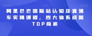 阿里巴巴国际站认知及直通车实操课程,四大体系成就TOP商家-赚金金-技能学习分享