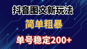 抖音图文流量变现,抖音图文新玩法,日入200+【揭秘】-赚金金-技能学习分享