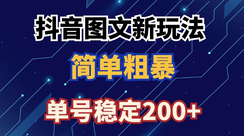 抖音图文流量变现，抖音图文新玩法，日入200+【揭秘】-赚金金-技能学习分享