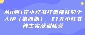 从0到1在小红书打造赚钱的个人IP(第四期),21天小红书博主实战训练营-赚金金-技能学习分享