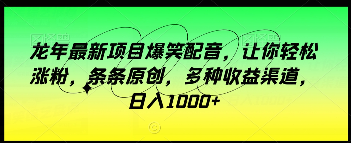 龙年最新项目爆笑配音，让你轻松涨粉，条条原创，多种收益渠道，日入1000+【揭秘】-赚金金-技能学习分享