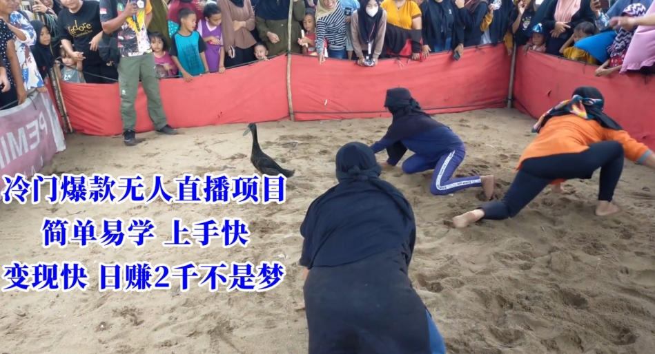 冷门爆款无人直播项目，简单易学上手快，变现快日赚2千不是梦【揭秘】-赚金金-技能学习分享