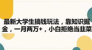 最新大学生搞钱玩法,靠知识掘金,一月两万+,小白拒绝当韭菜【揭秘】-赚金金-技能学习分享